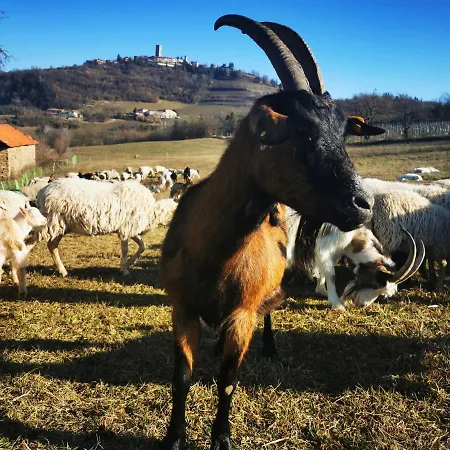 La Margherita Bauernhof *