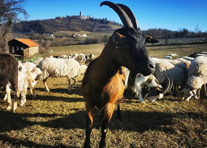 La Margherita Farm stay *
