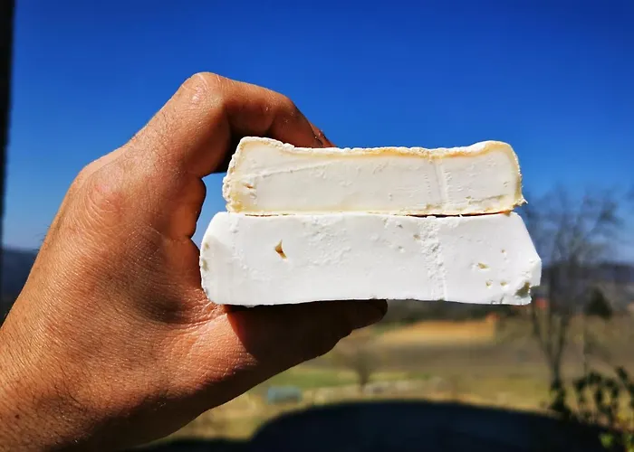 La Margherita